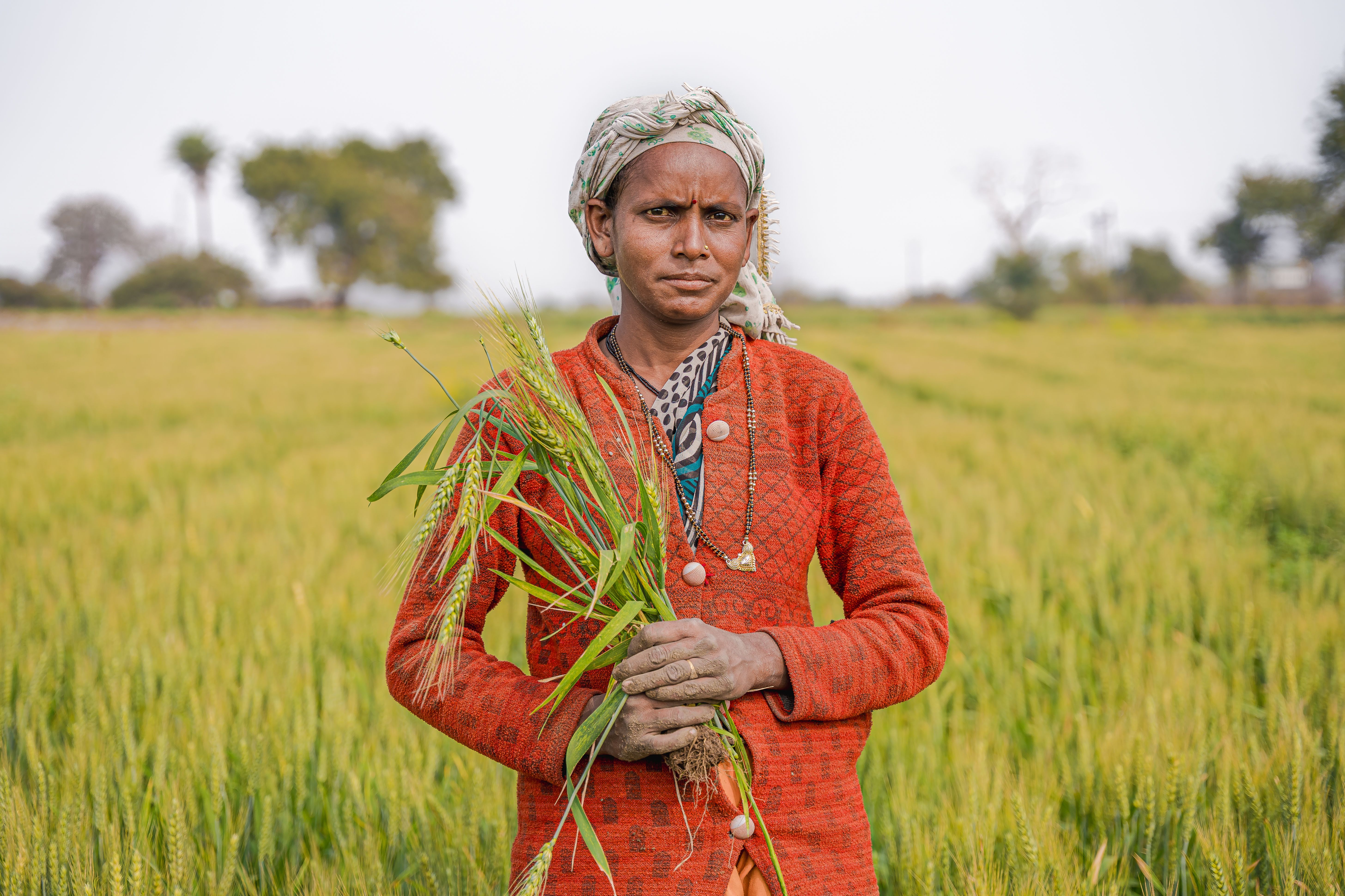 Farmer walking through a crop field