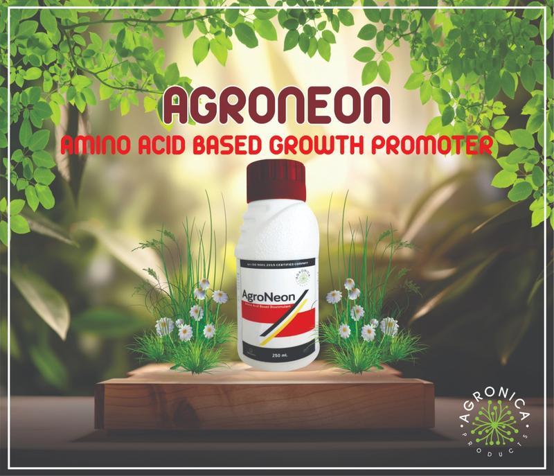 AGRONEON-AMINO ACIDS