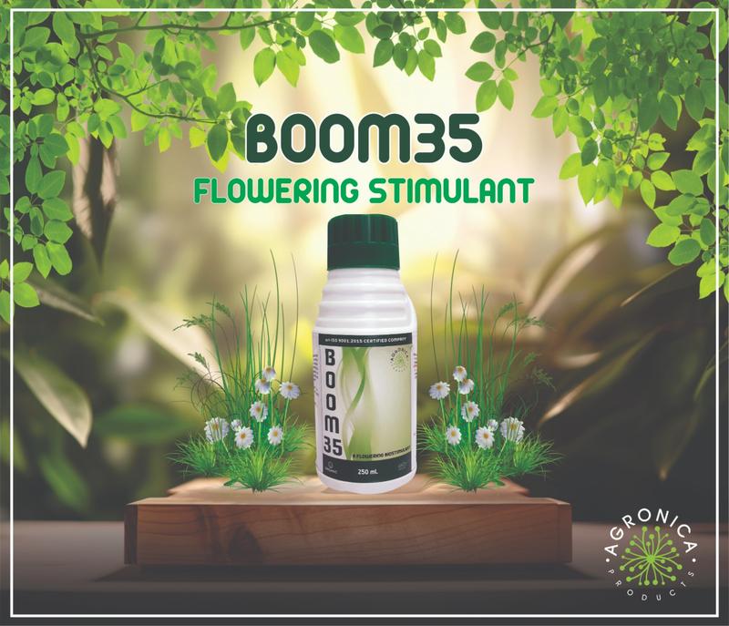 BOOM 35-PROTIN HYDROLYSATE