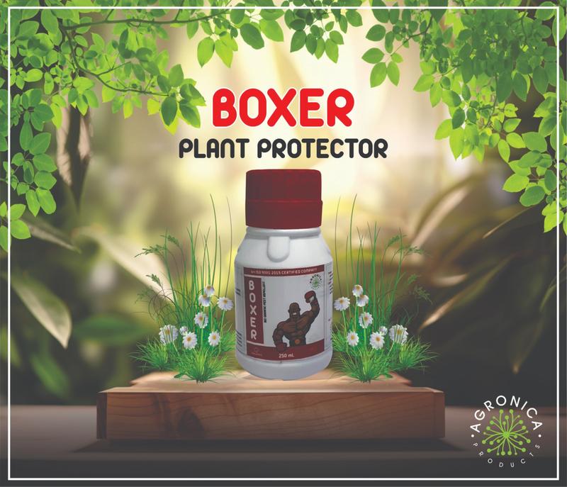 BOXER-PLANT PROTECTOR