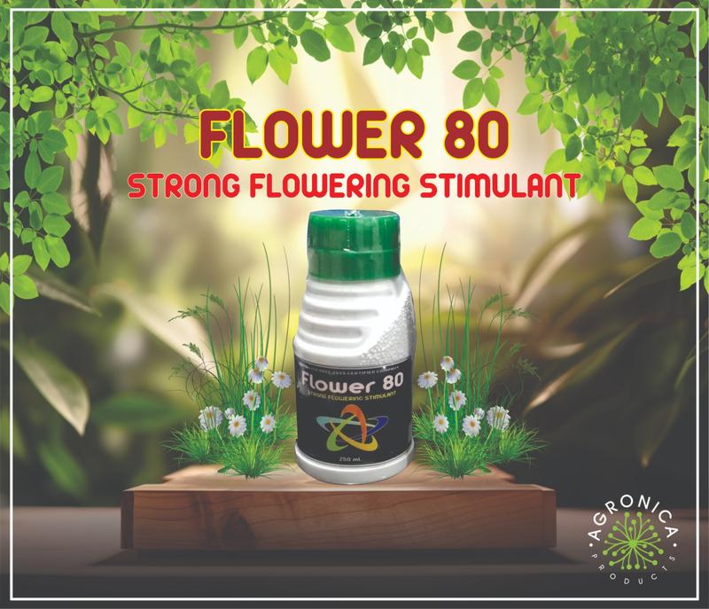 FLOWER 80-PROTEIN HYDROLYSATE