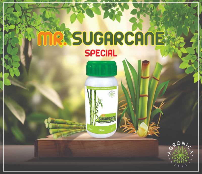 MR.SUGARCANE-HUMIC+AMINO+VITAMINS