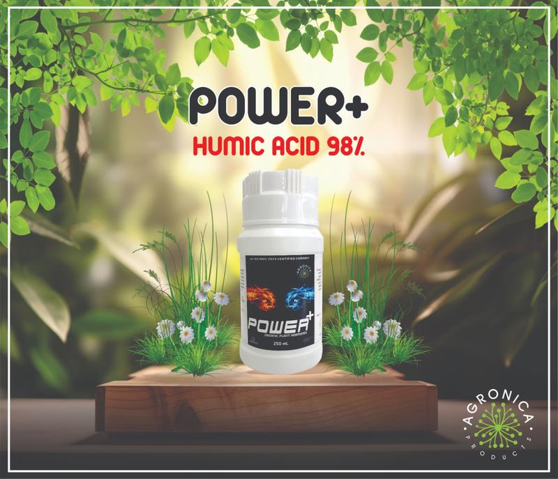 POWER+-SUPER POTTASIUM HUMATE