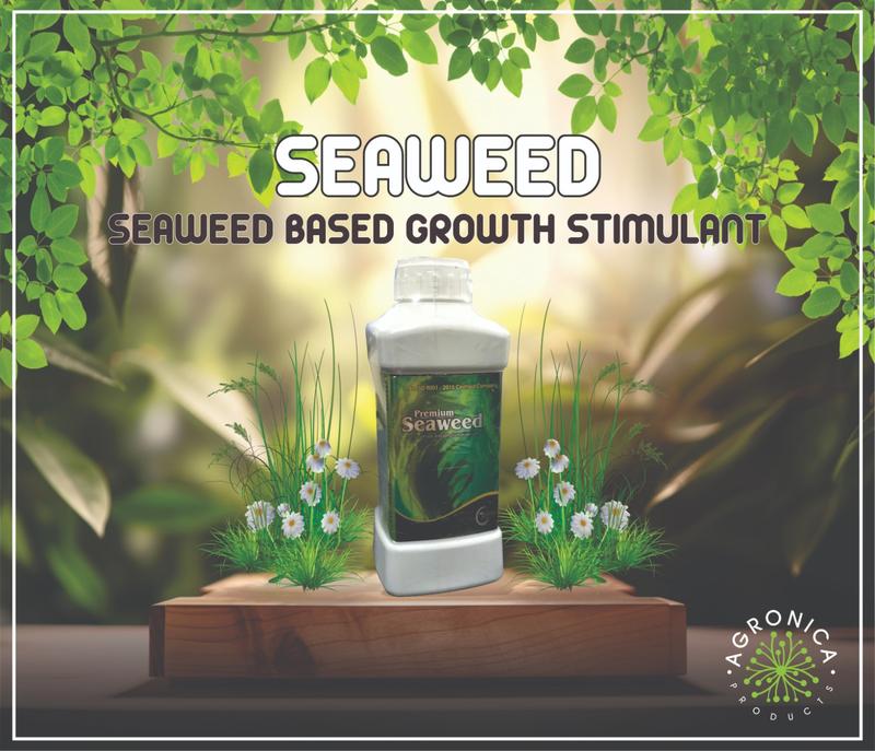 PREMIUM SEAWEED-SEAWEED LIQUID