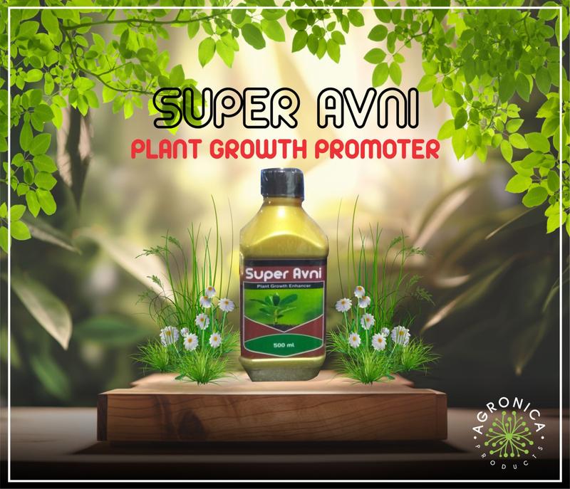 SUPER AVNI-AMINO ACID +VITAMINS
